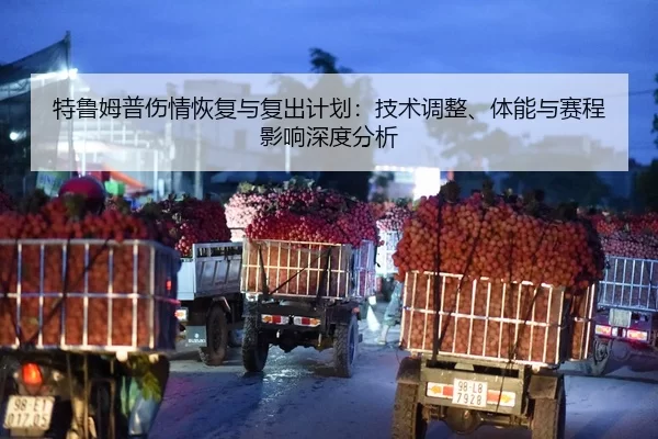te-lu-mu-pu-shang-qing-hui-fu-yu-fu-chu-ji-hua-ji-shu-tiao-zheng-ti-neng-yu-sai-cheng-ying-xiang-shen-du-fen-xi-2-642.jpg